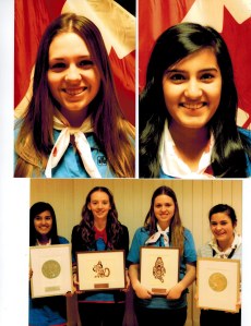 cel of achievement 2014