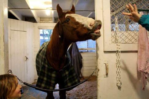 15128811_10154447355789584_3880052215153660252_o