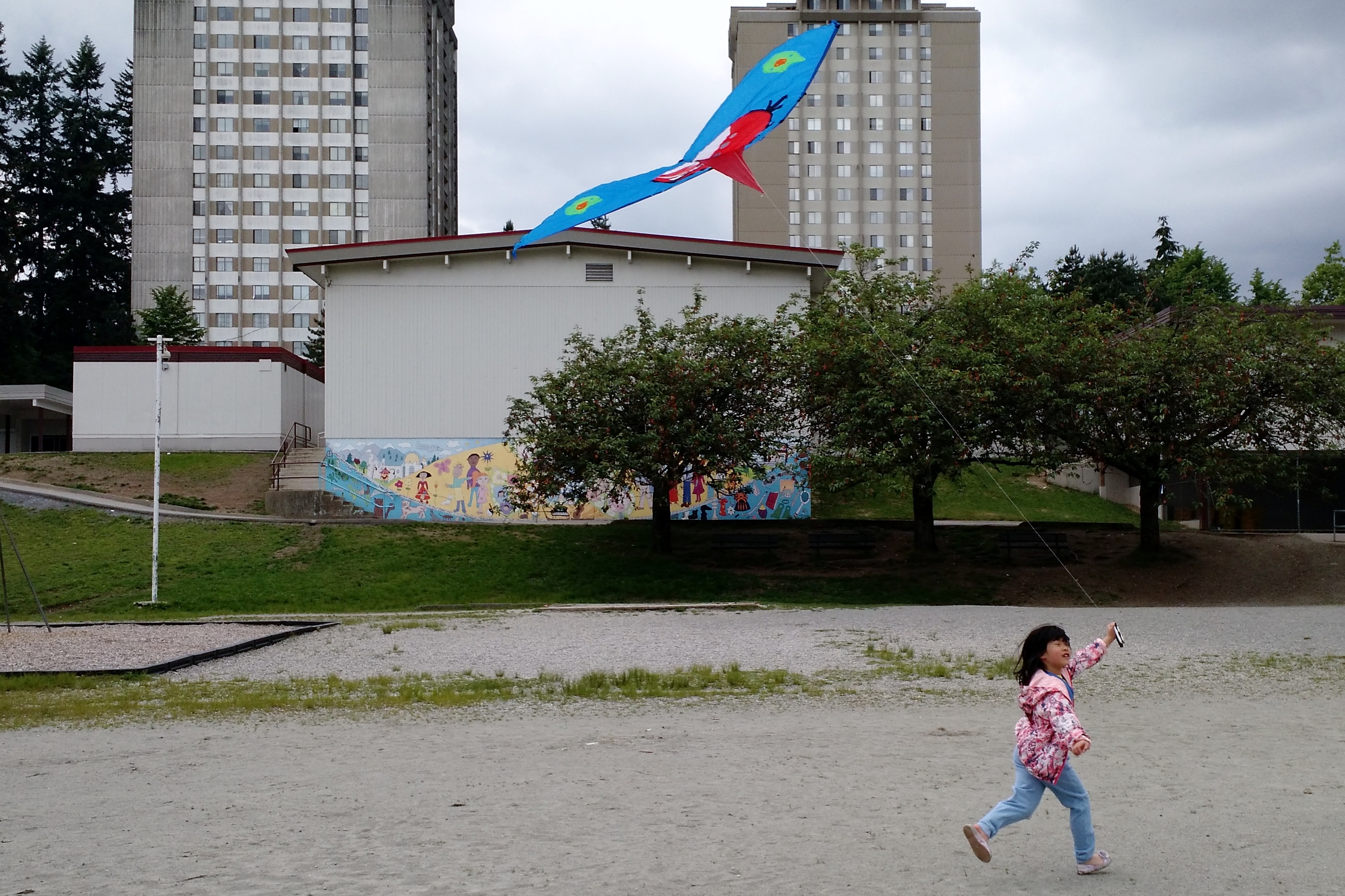 IMG_20170610_111133841