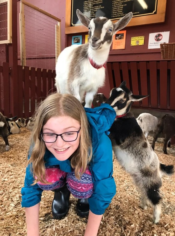 61541907_316583515928027_3547640078803140608_n